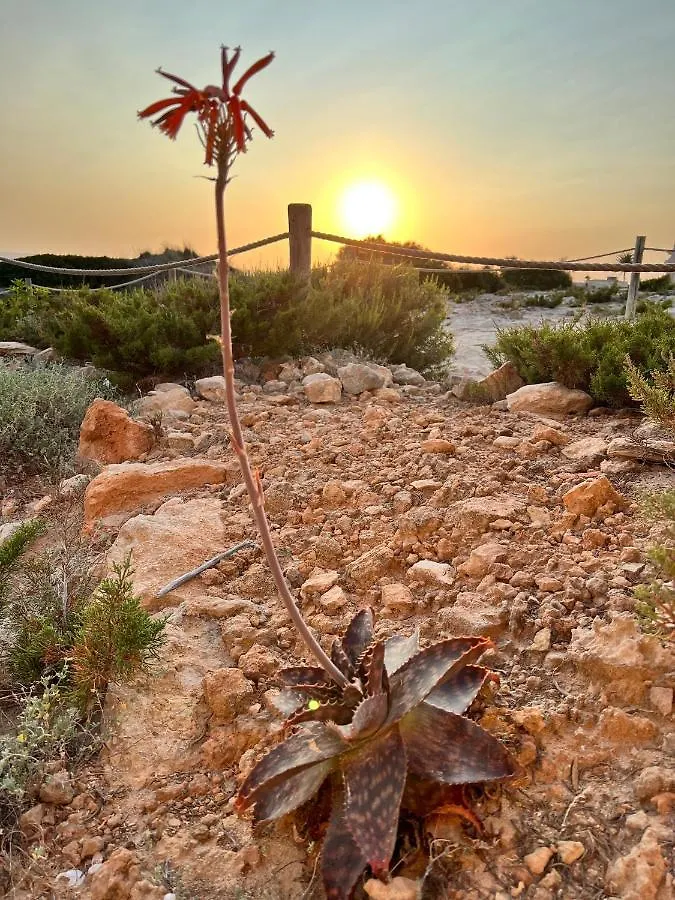 Holiday home Arenas Del Mar Formentera Villa Es Arenals