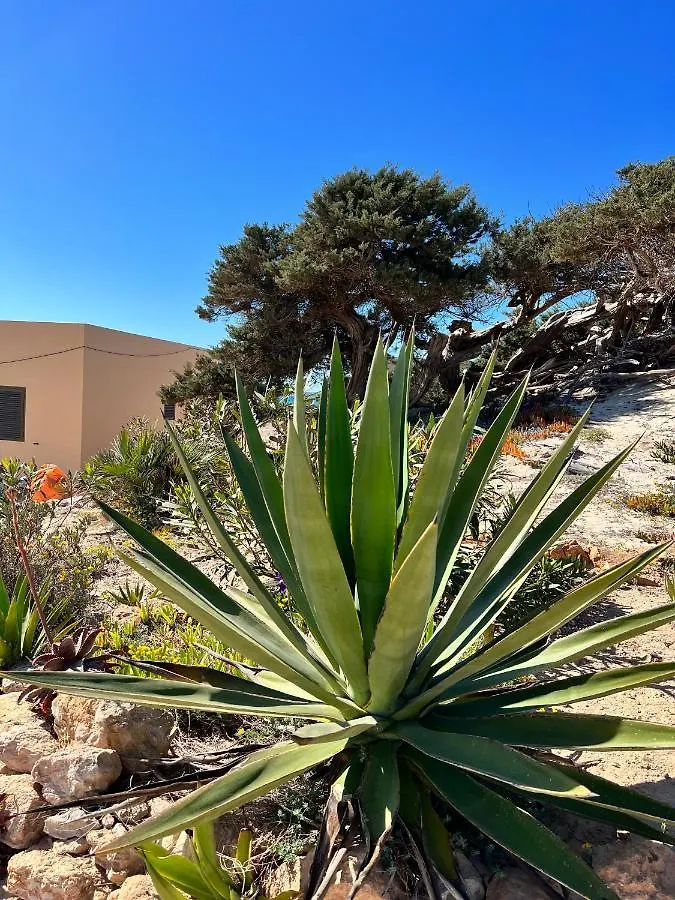 Holiday home Arenas Del Mar Formentera Villa Es Arenals Spain